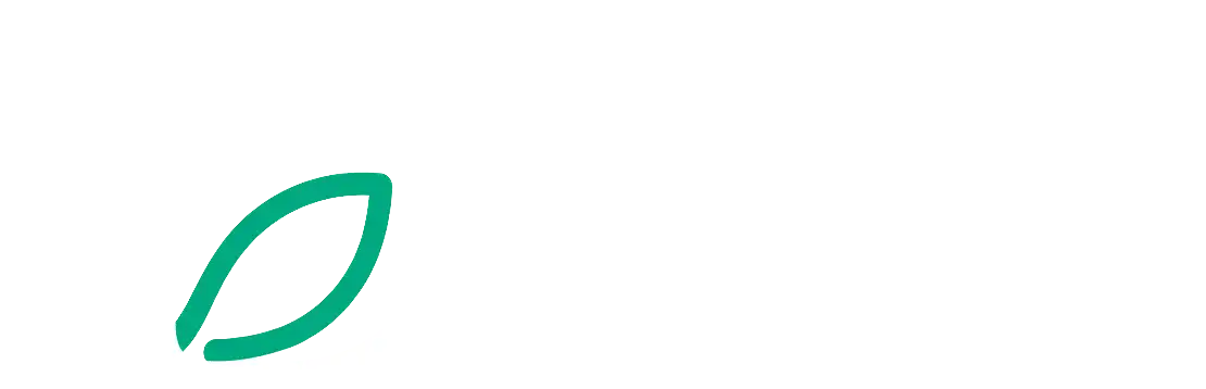 DMV